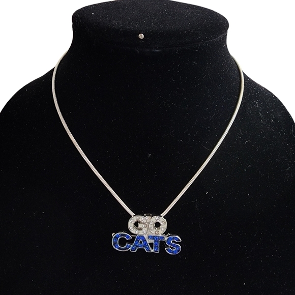 GO CATS bling Brooch pendant Silvertone necklace - Picture 1 of 5
